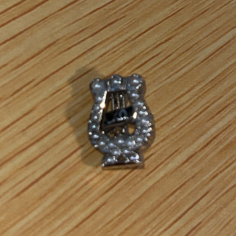 Silver Rhinestone Belt Buckle